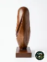 InShot_20260926_161620350.webp